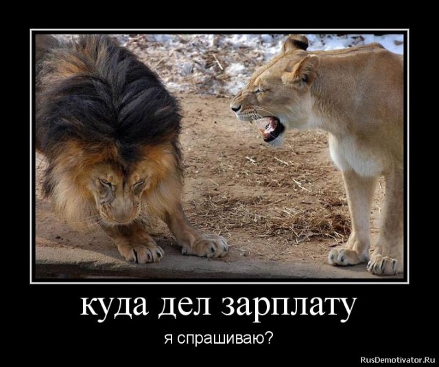 На что потратили зарплату?