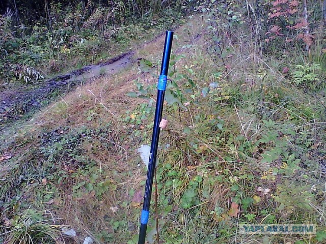 В Европу на один день за хариусом.