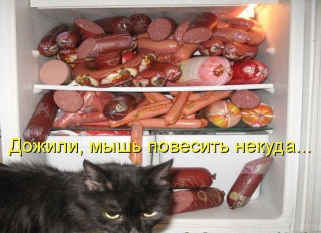 Немного веселых картинок