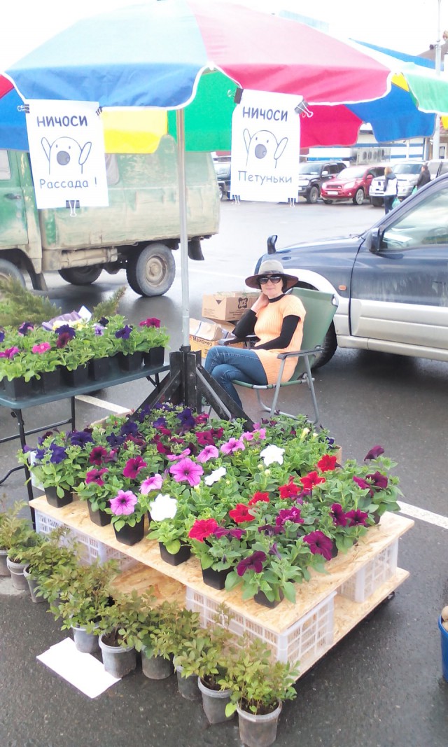 Заработок на цветочках