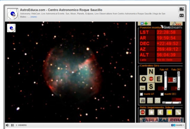 За что я люблю китайцев