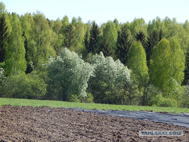 Приезжайте в деревню