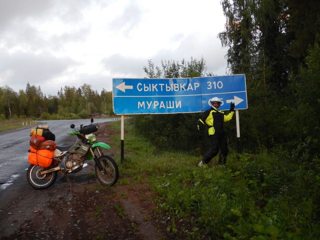 Подслушано мураши