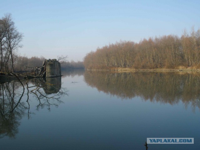 Подборка "тёплых, уютных, домашних" фотографий. Часть 5