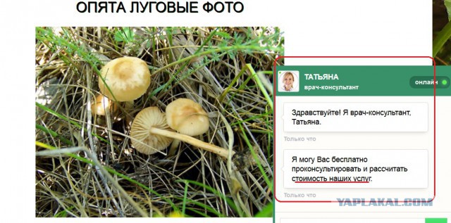 ЯП-всезнающий, помоги разобраться! Всего 5 фото