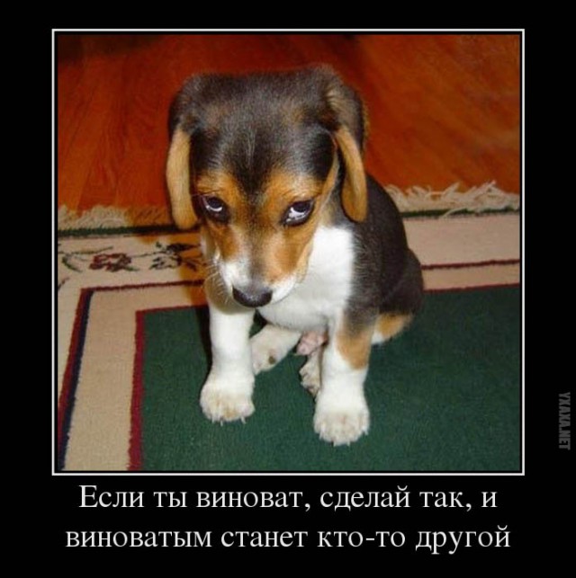 Кто?! Признавайтесь!