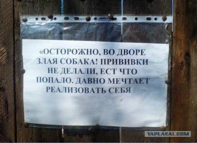 Всякие разные картинки