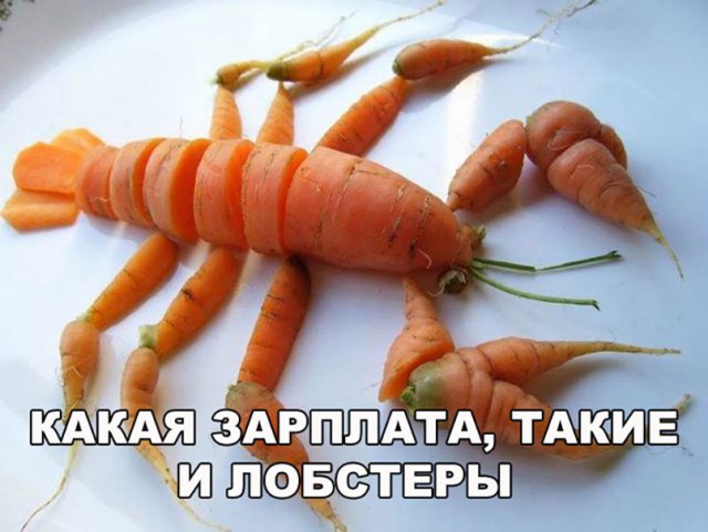 Подборка интересных и веселых картинок
