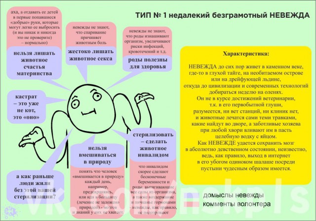 Кошка срет как лошадь...