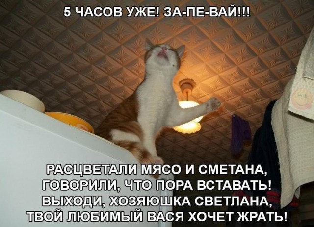 О такой от юмор
