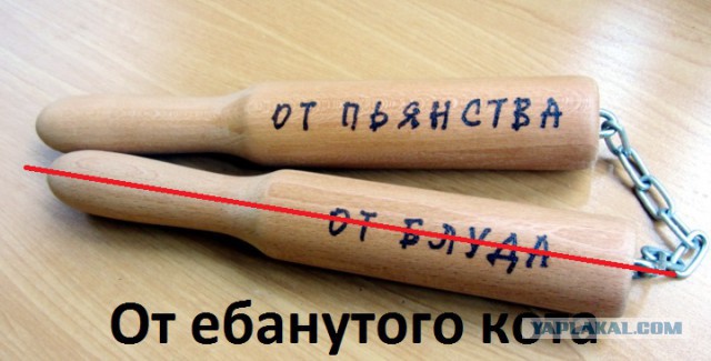 Сатана, а не кот!