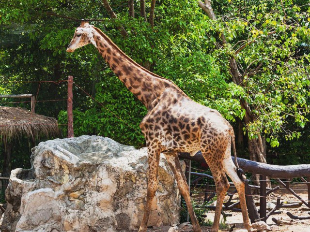 Полтора месяца безделья или "Первое семейное бюджетное путешествие"