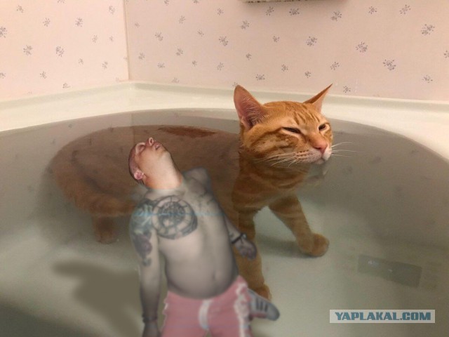 Фотожаба: "Отдыхающий"