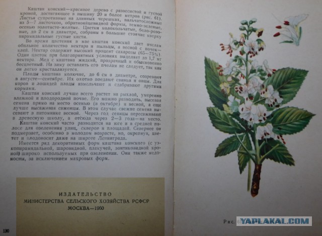 Как нас на**ывают торговцы «домашним» на обочинах