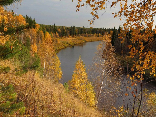 Осенняя тайга