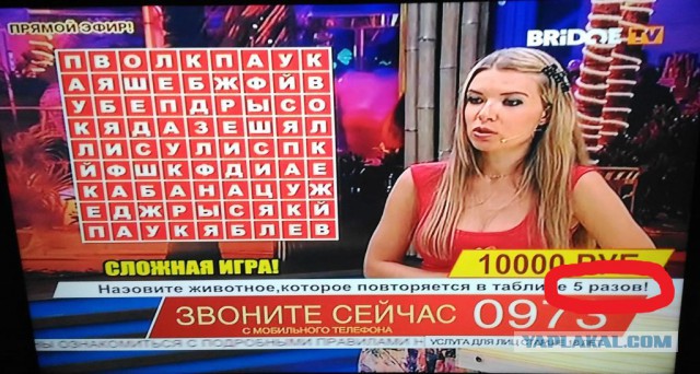 25 «очепяток», которые выведут из себя даже самого невозмутимого