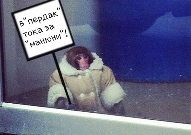 "Решила ему дать за выслугу лет"(с)