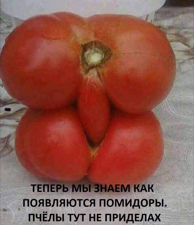 Картинки с претензией на юмор