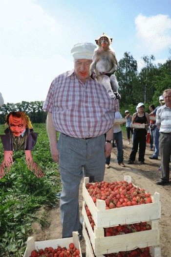 Один день из жизни монаха-отшельника.