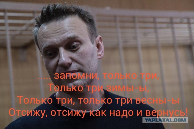 Суд над Навальным. Прямой эфир