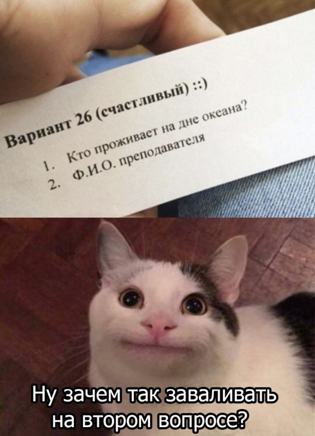 Кретинки  на будни