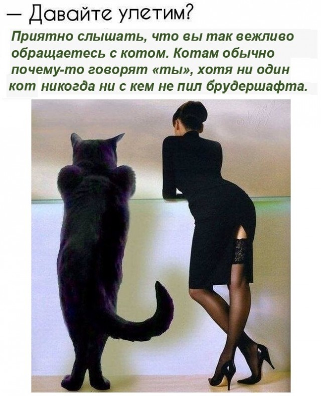 Картинки с надписями и всякие жизненные фразы 5.06.21