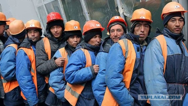 Нехватка мигрантов в России обернулась ростом зарплат