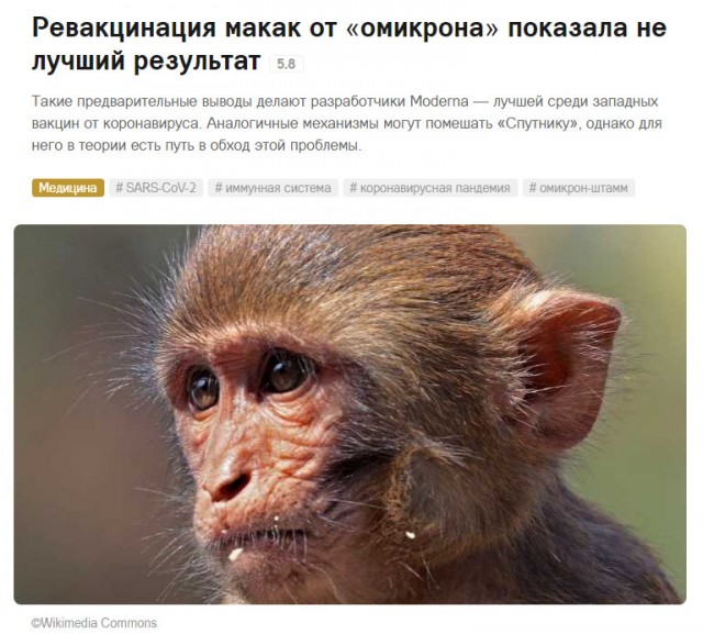 Пандемия. Коронавирус. Россия и мир. Часть 29