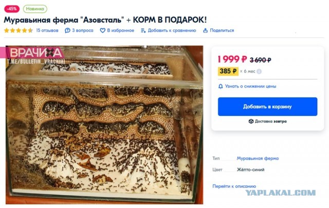 Нацист из Азова призвал убивать русских детей