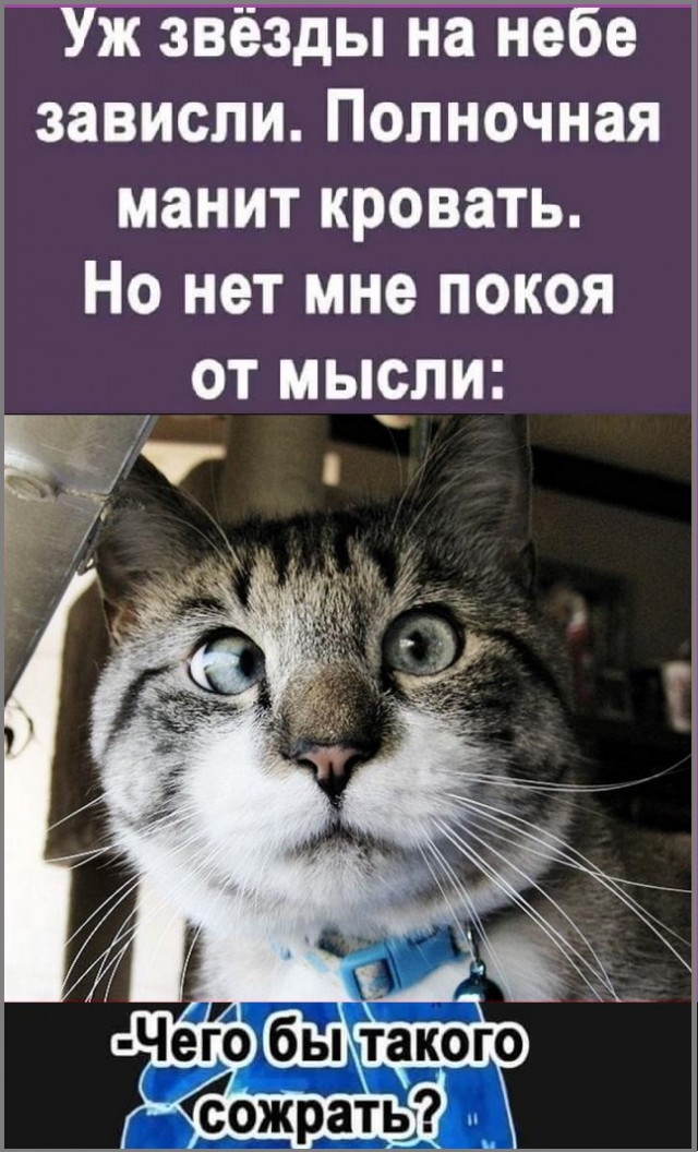 Улыбнись, не грусти!