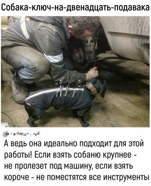 Картинки и мемы для настроения - 27