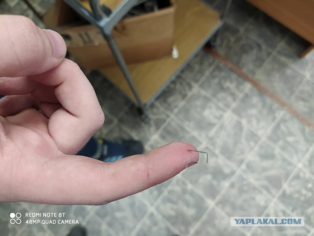 Тренируйте домашнего парамедика правильно