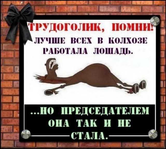 Картинки и мемы для настроения - 21