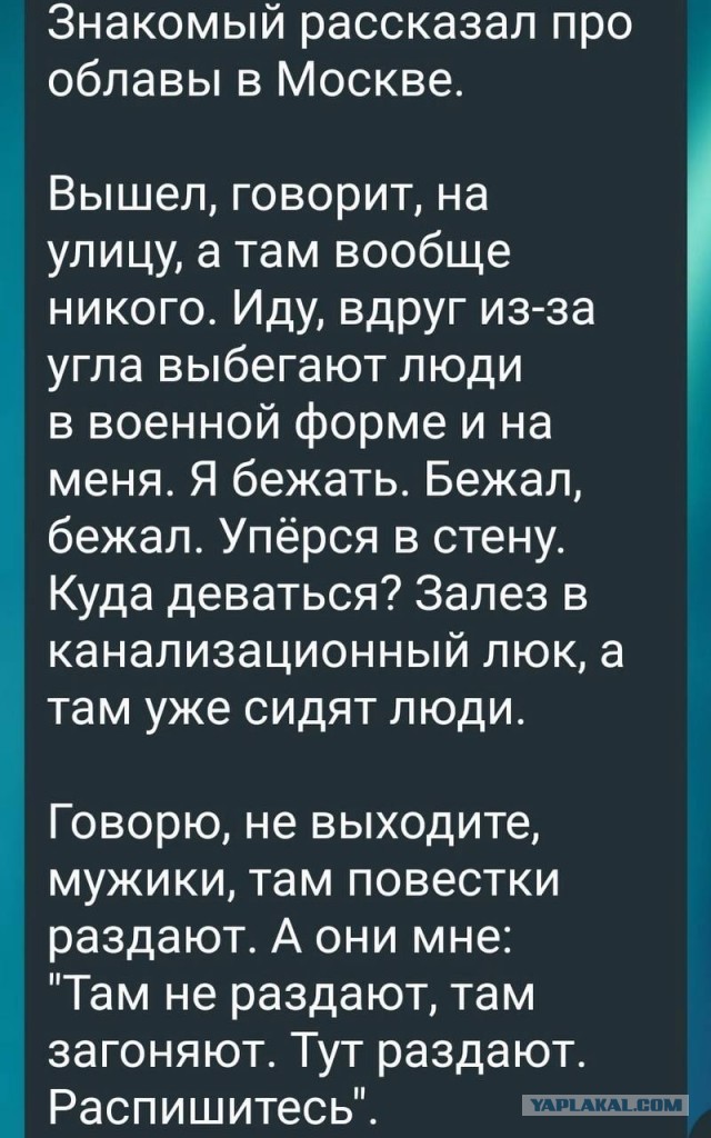 Так себе картинки 08.10.22