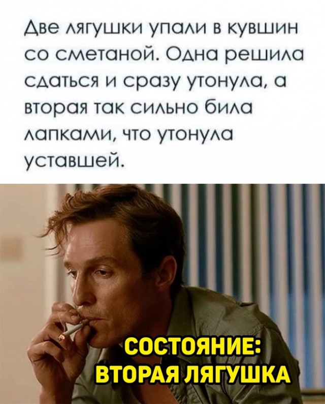 Весёлый полтишок 20.10.22