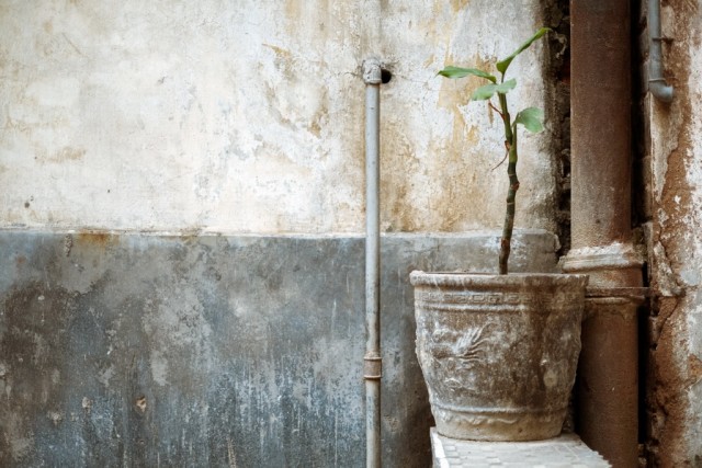 Гуанчжоу. 广州.