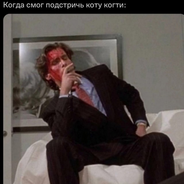 Так себе картинки 27.02.23