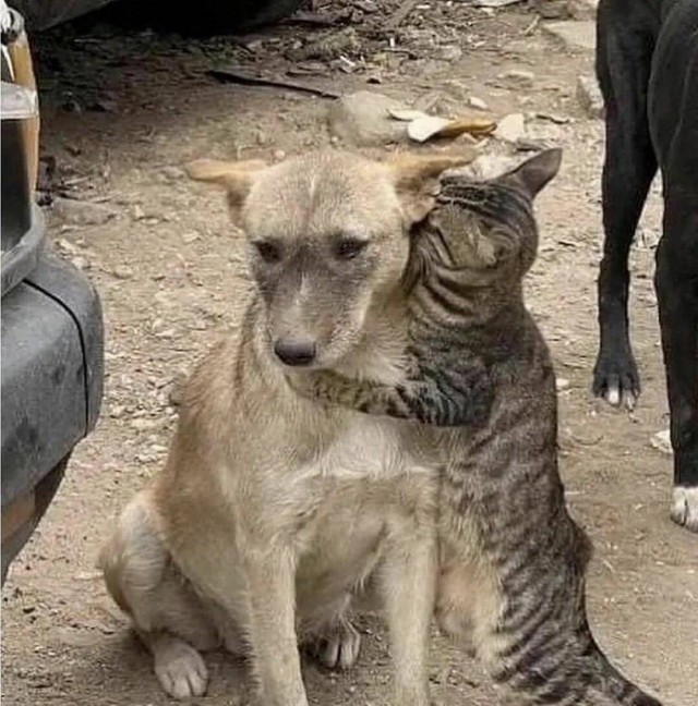 Подборка интересных и прикольных фото из Сети 01.04.23