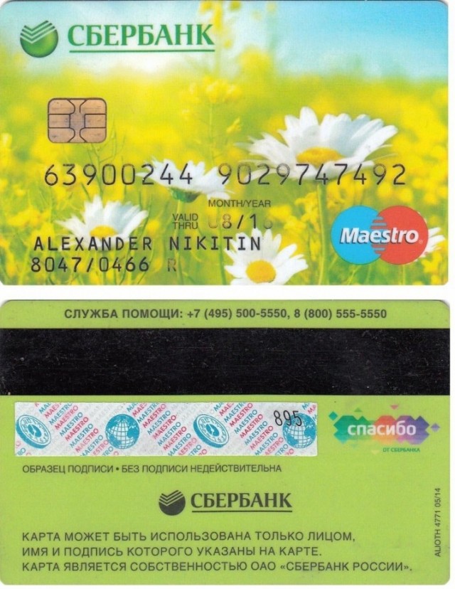 Дочь у меня объявилась