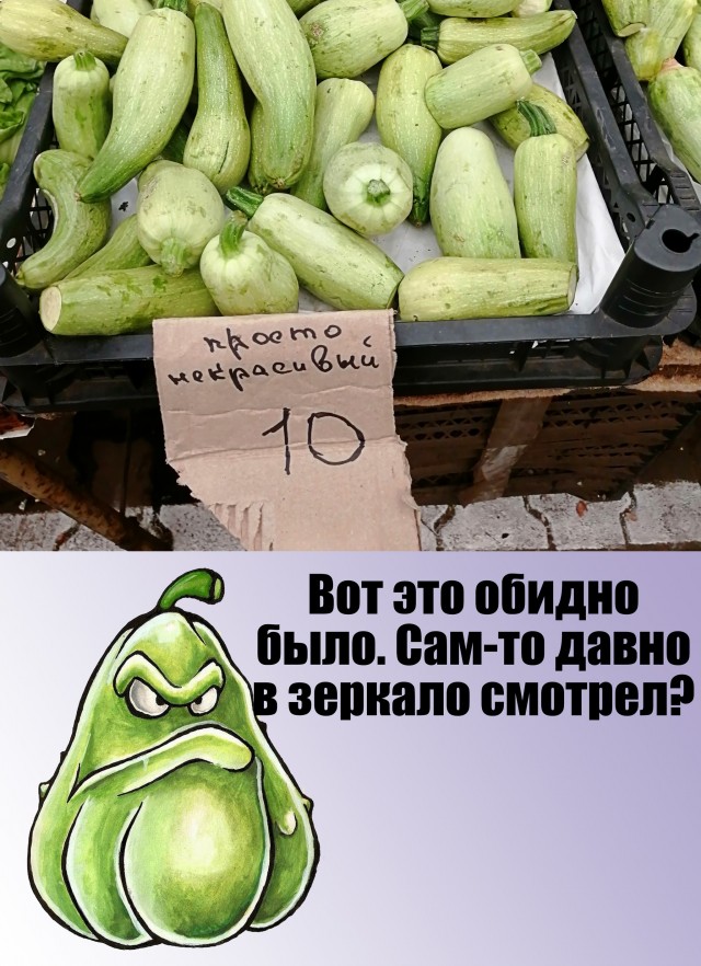 Мне сегодня предложили кабачок