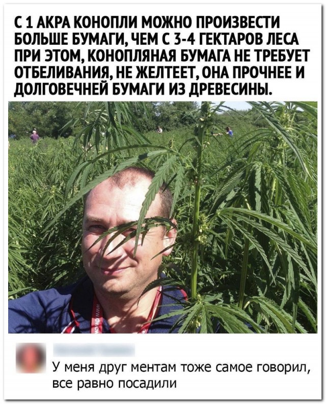 18356443.jpg