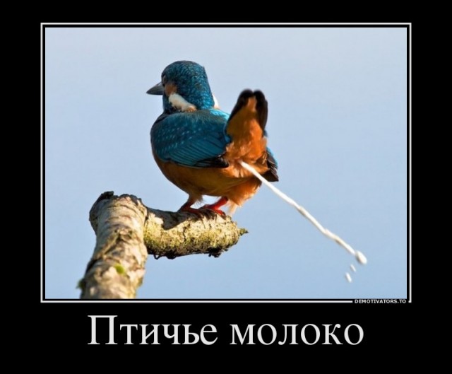 Ничё такое меню