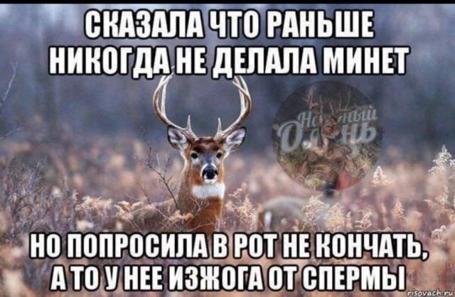 Французские учёные выяснили, что...
