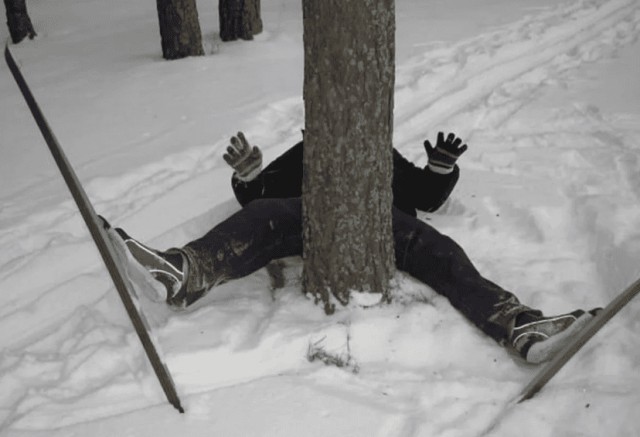 Квартальный столб - простой способ сориентироваться в лесу, о котором знает каждый лесник, но не всякий охотник