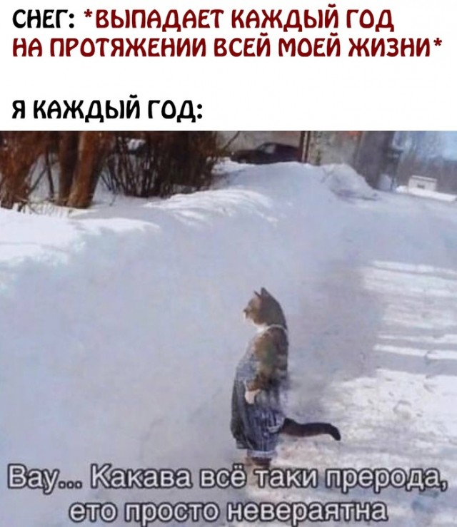 Весёлый полтишок 12.12.2023
