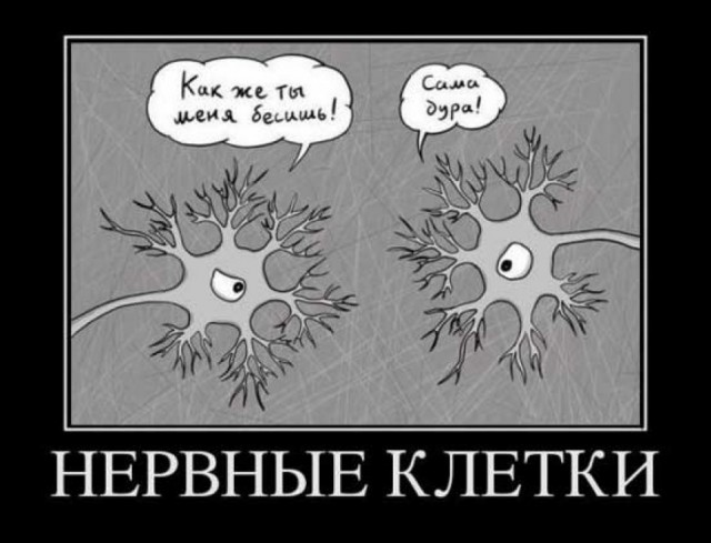 Дурдом - Бояны