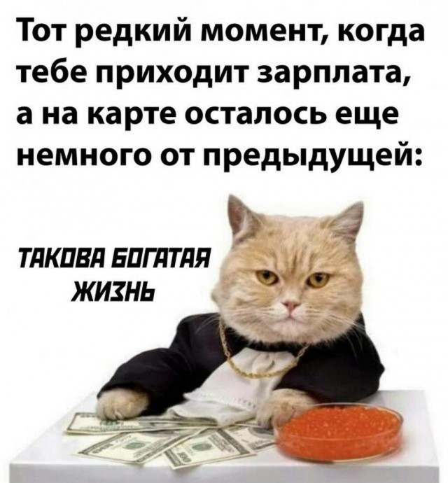 Веселые картинки (02.07)