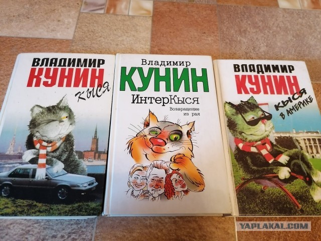Кот-путешественник проехал Кемеровскую область на крыше грузовика маркетплейса