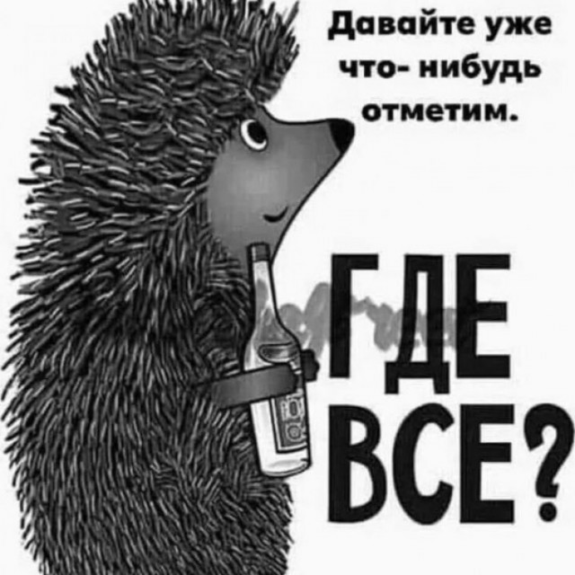 Весёлый полтишок 27.08.24