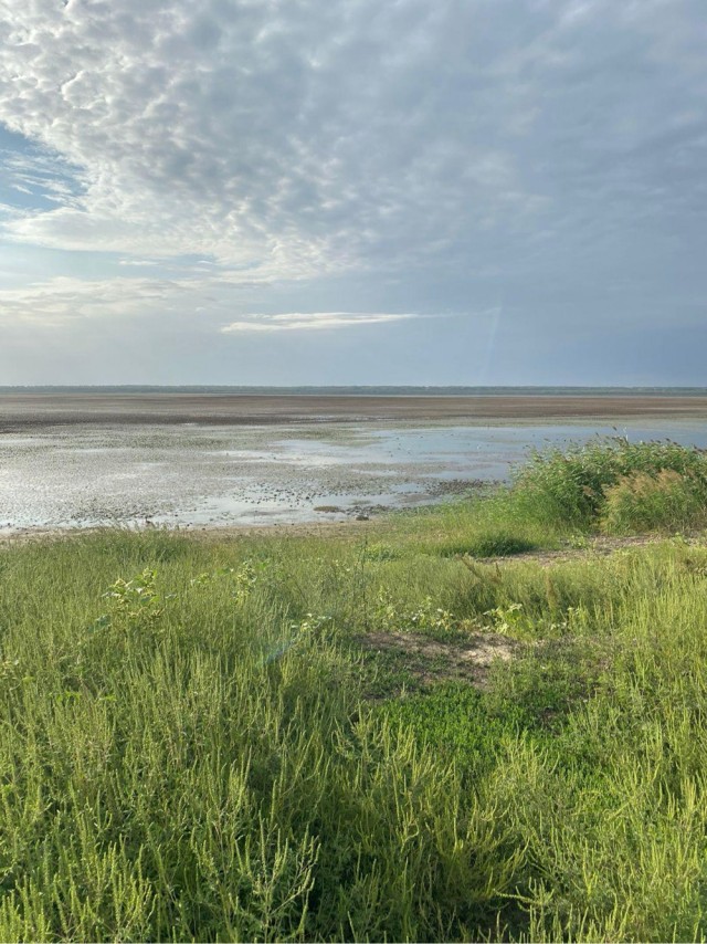Знаменитое Краснодарское водохранилище полностью пересохло из-за аномальной жары